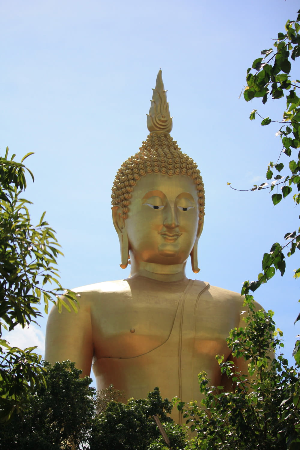 a large golden buddha statue sitting in the middle of a forest