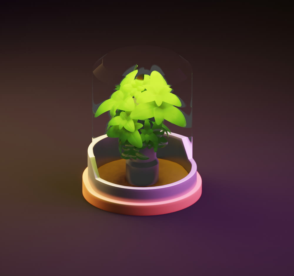 a small potted plant in a glass case