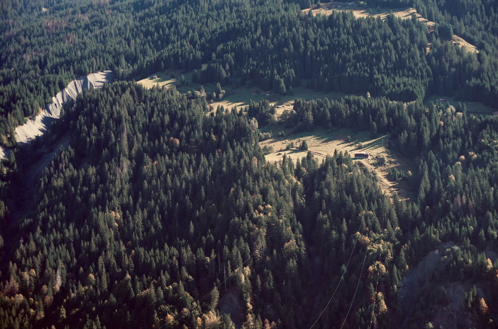 an aerial view of a forested area with snow on the ground
