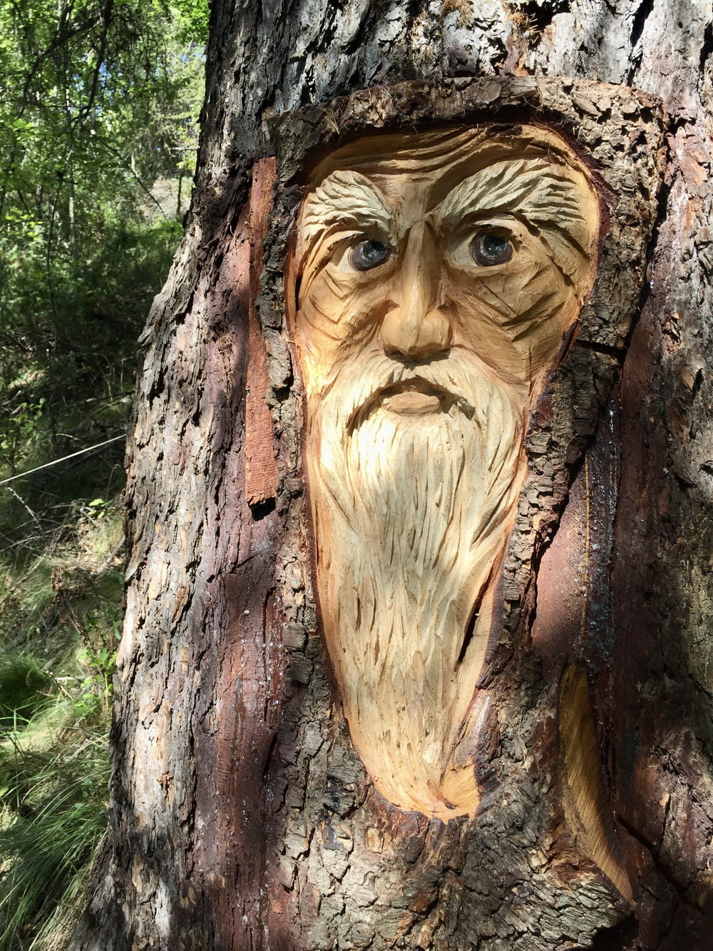 a carving of a man's face on a tree