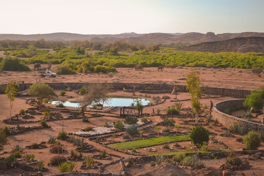 a desert landscape with a pool surrounded by trees