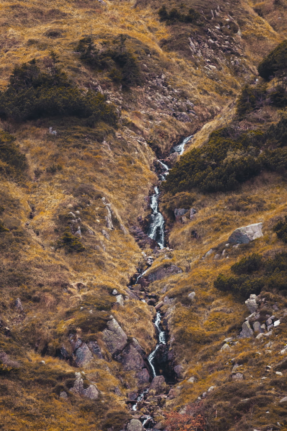 a stream of water running down a grassy hillside