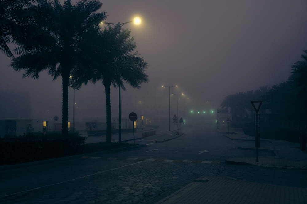 a foggy street with palm trees and street lights