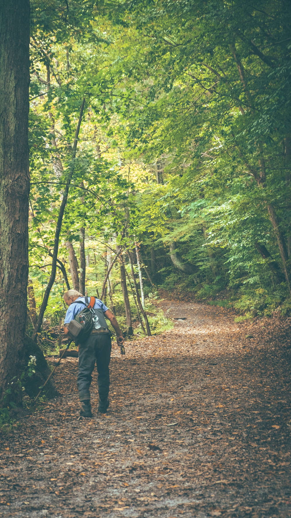 a person with a backpack walking down a path in the woods