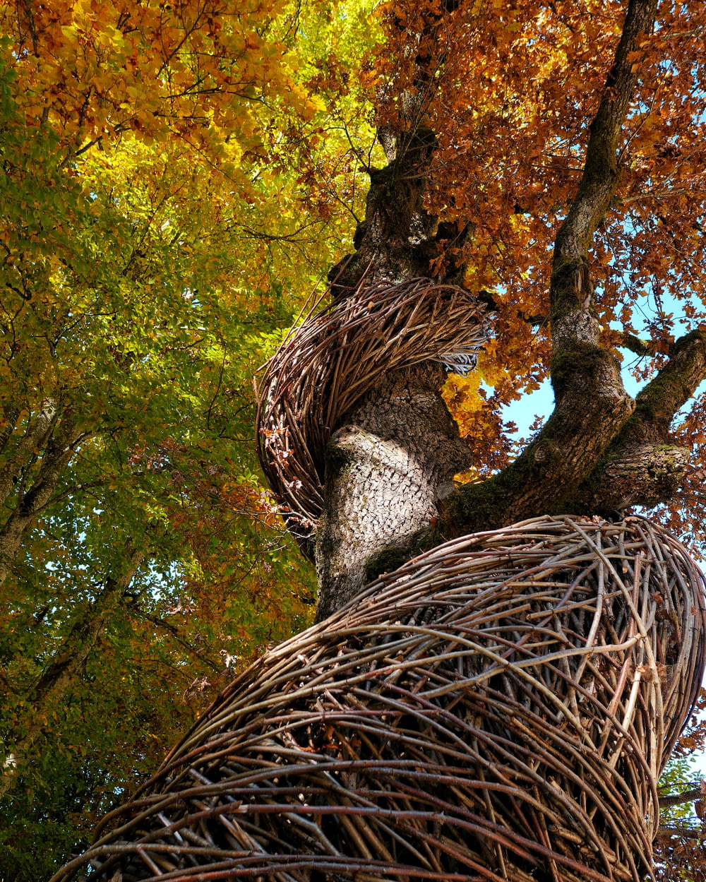 a sculpture of a bird nest on top of a tree