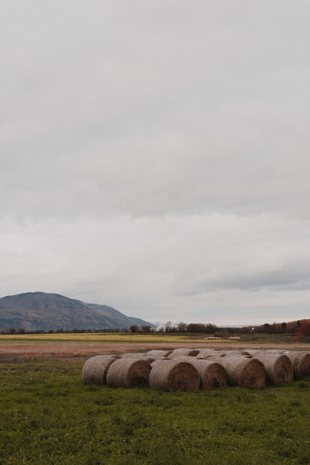 hay bales in a field with a mountain in the background
