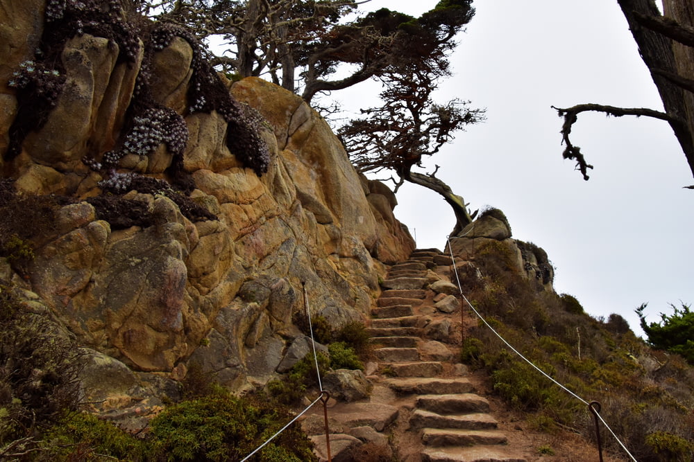 a set of stairs leading up to a cliff