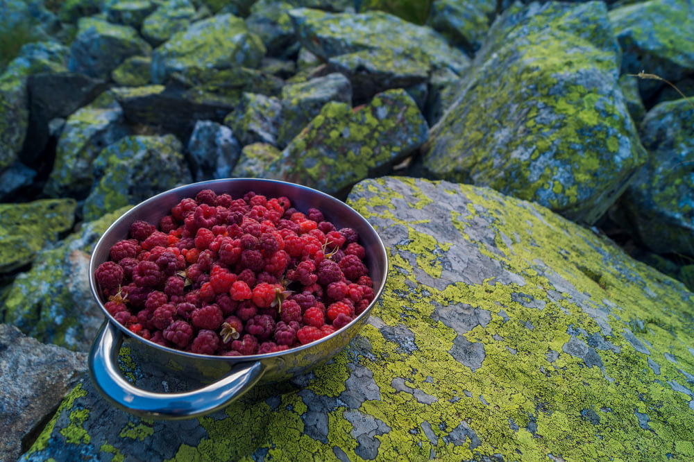a metal bowl filled with raspberries sitting on top of a moss covered rock