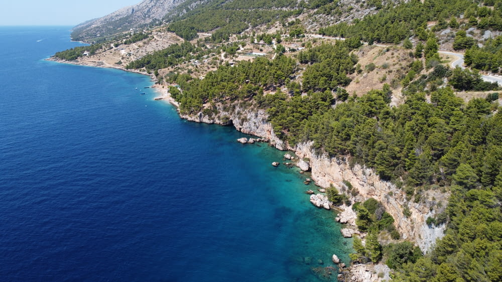 Eine Luftaufnahme eines blauen Ozeans mit Bäumen am Ufer