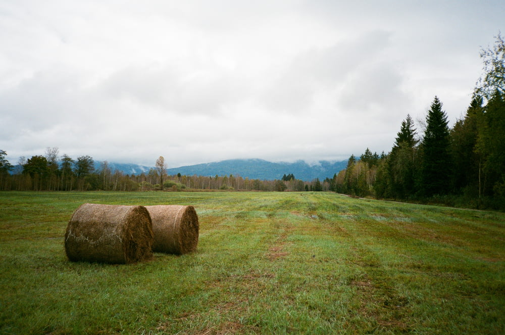 two hay bales in a field with mountains in the background
