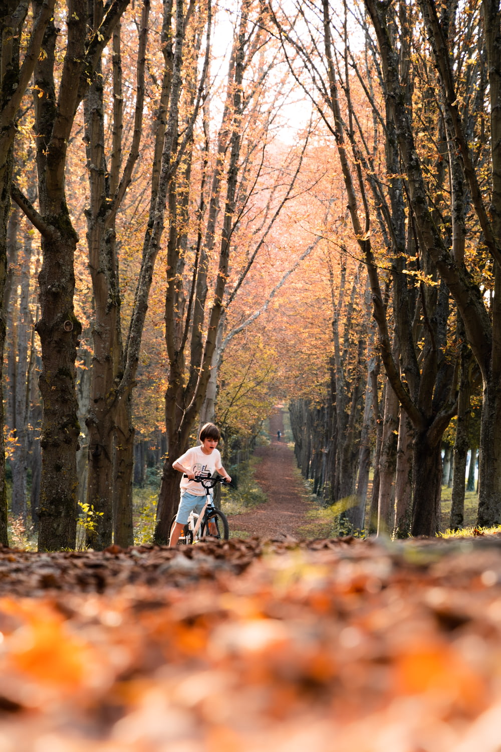 a man riding a bike down a leaf covered road