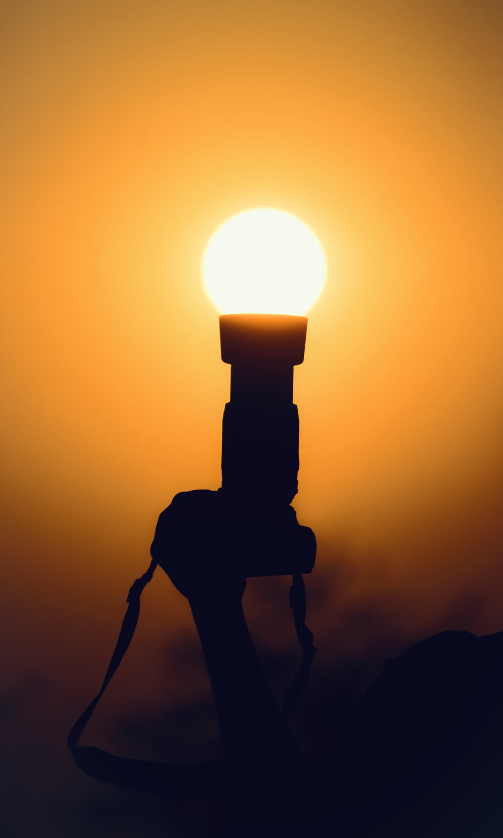 a silhouette of a person holding a light bulb
