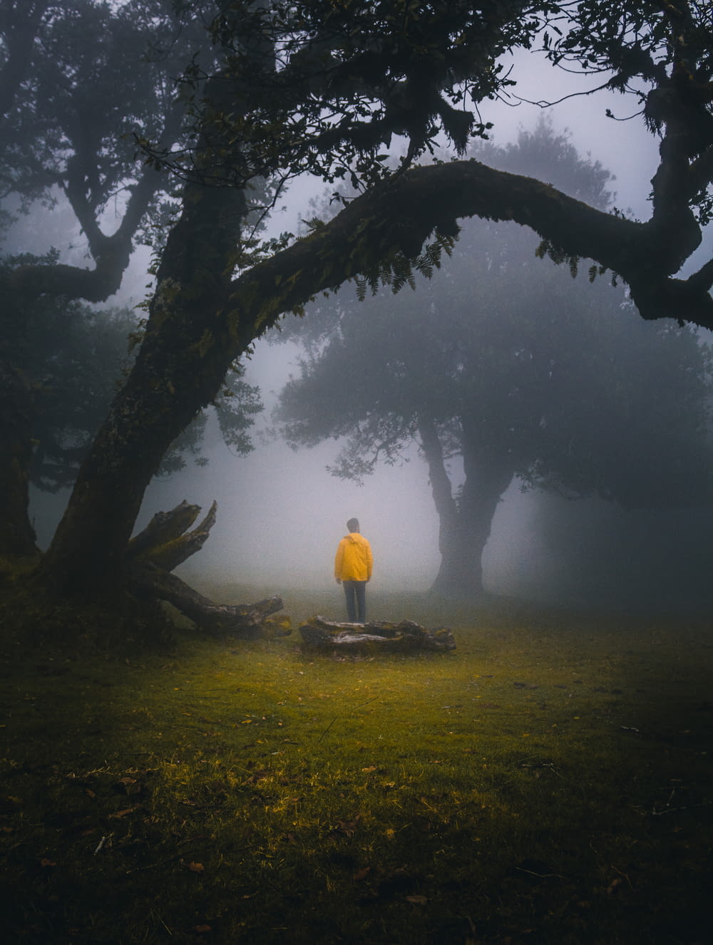 a person in a yellow jacket standing in the fog