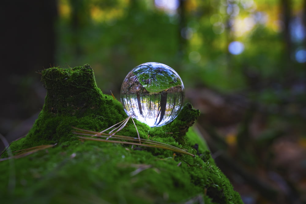 a glass ball sitting on top of a moss covered tree stump