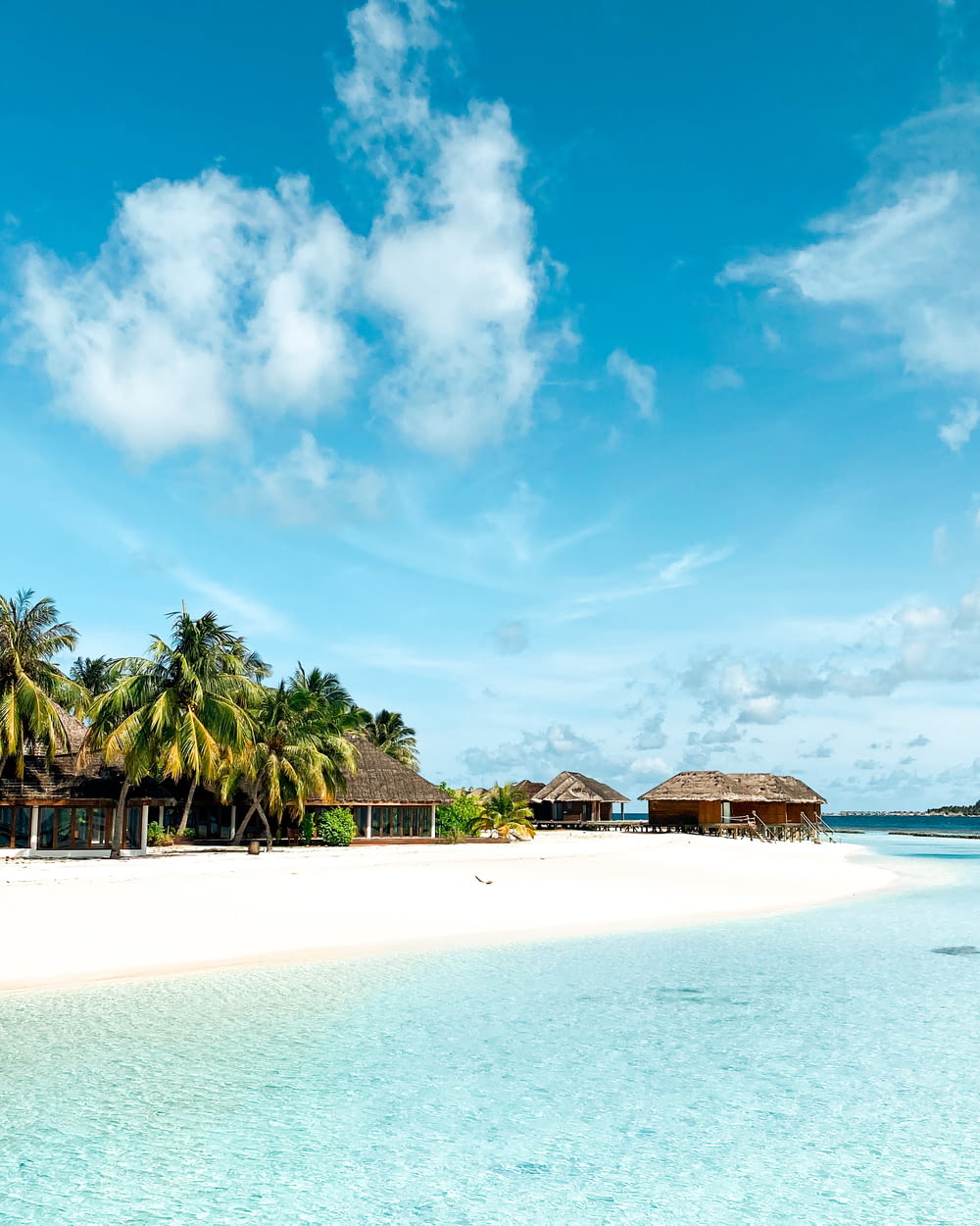 a white sandy beach with palm trees and huts