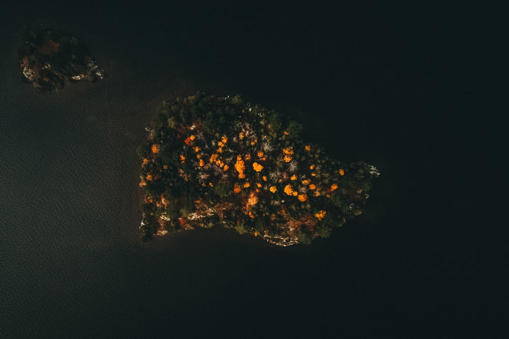 uma vista aérea de uma ilha no meio do oceano