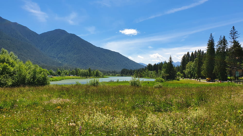 a grassy field with a lake and mountains in the background
