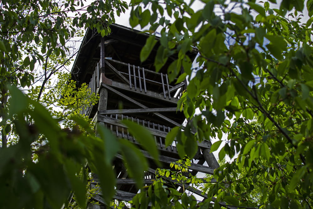 a tall wooden tower with a balcony in the middle of trees
