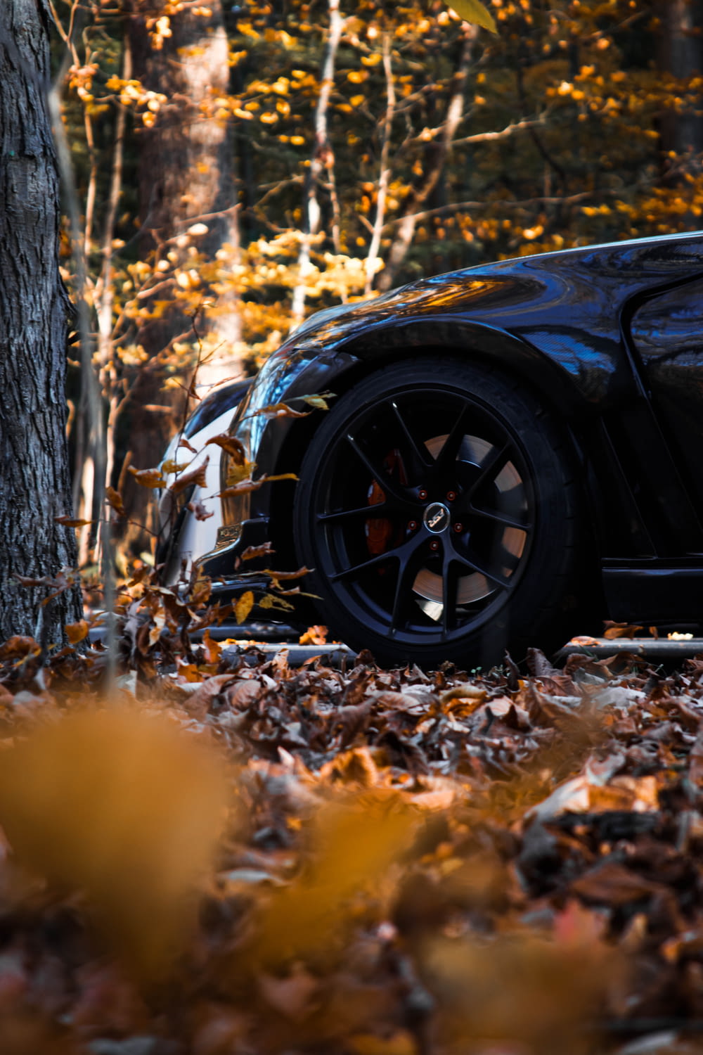 a black sports car parked next to a tree