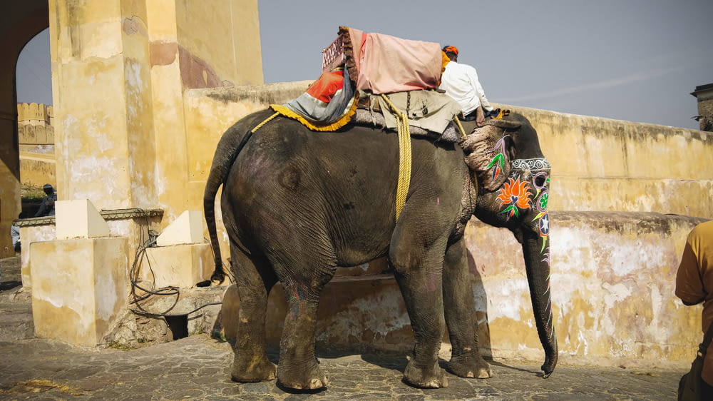 a man riding on the back of an elephant