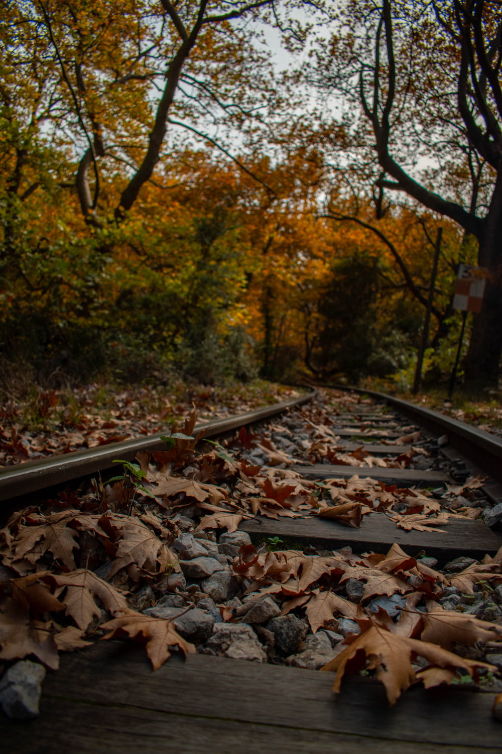a train track with leaves on the ground