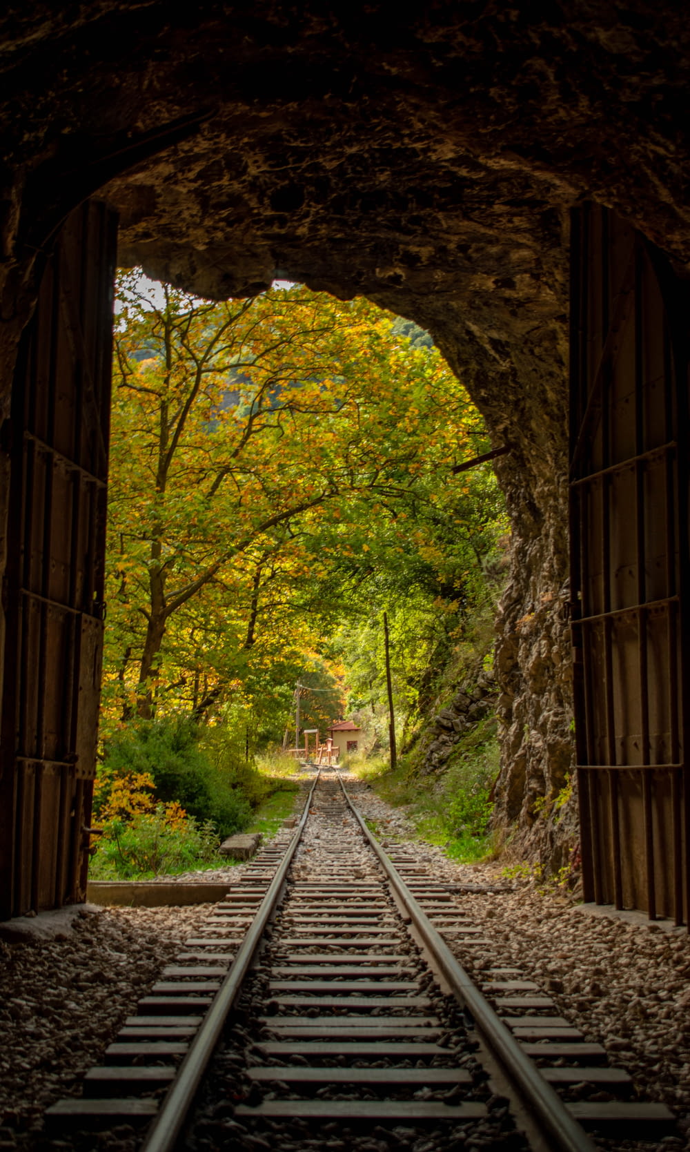 배경에 나무가 있는 터널을 통과하는 기차 트랙