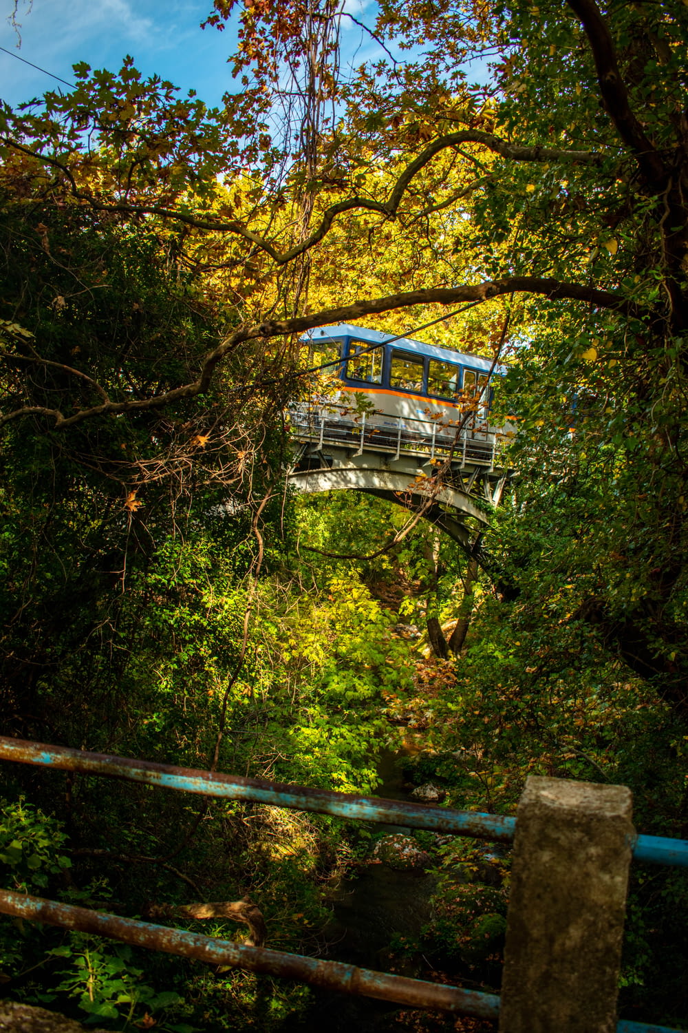 숲 한가운데있는 다리 위를 여행하는 기차