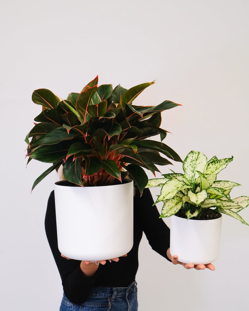 a person holding two plants in their hands
