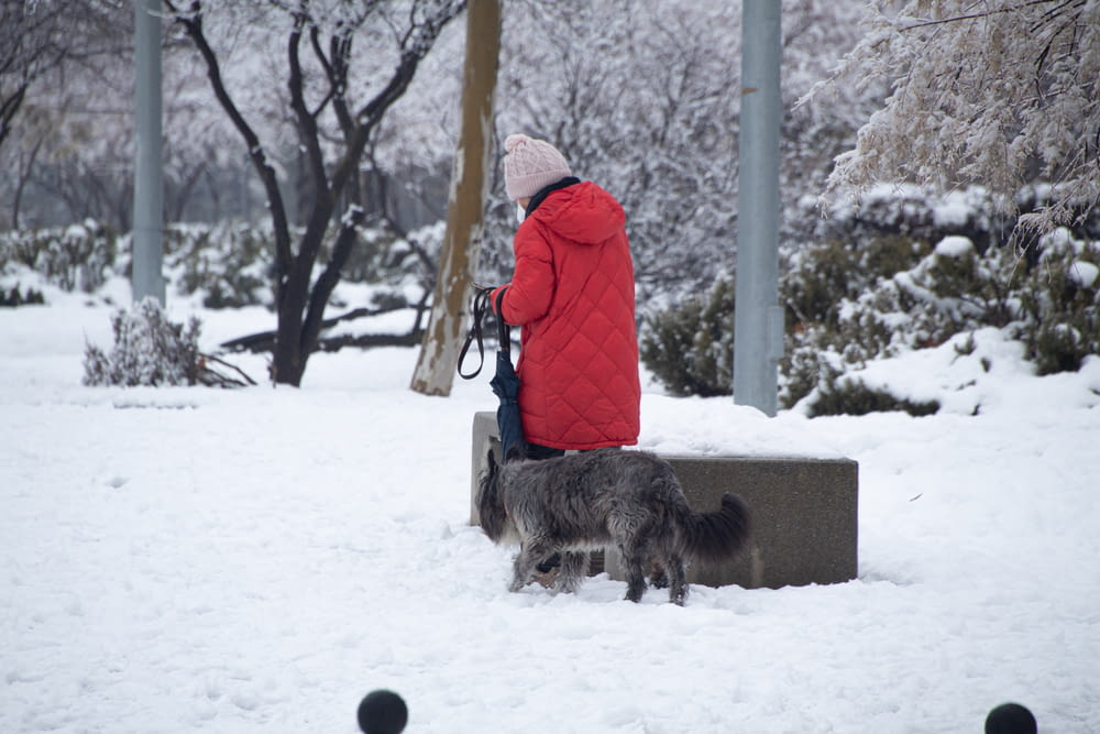a person sitting on a bench with a dog in the snow