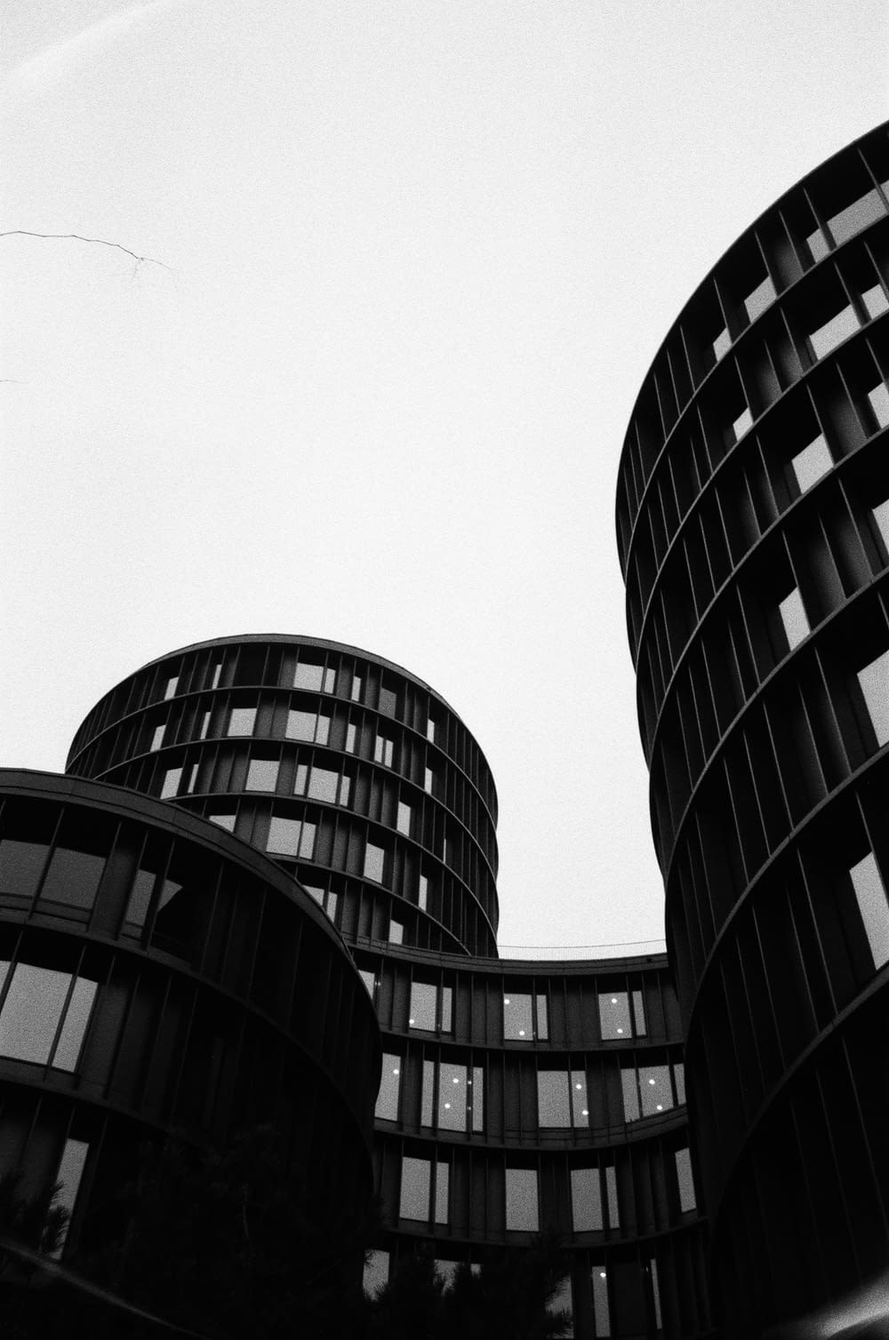 Una foto in bianco e nero di due edifici