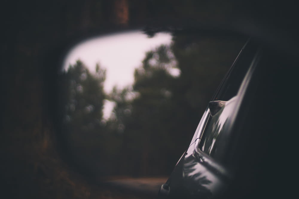 Specchietto retrovisore laterale di un'auto che riflette un albero