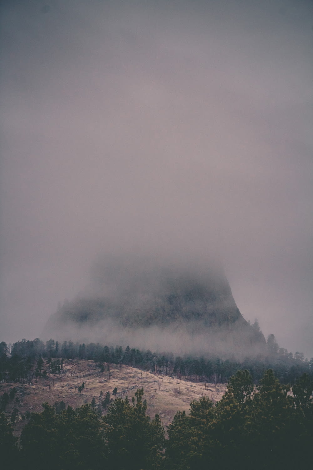Una montagna coperta di nebbia con alberi sul lato