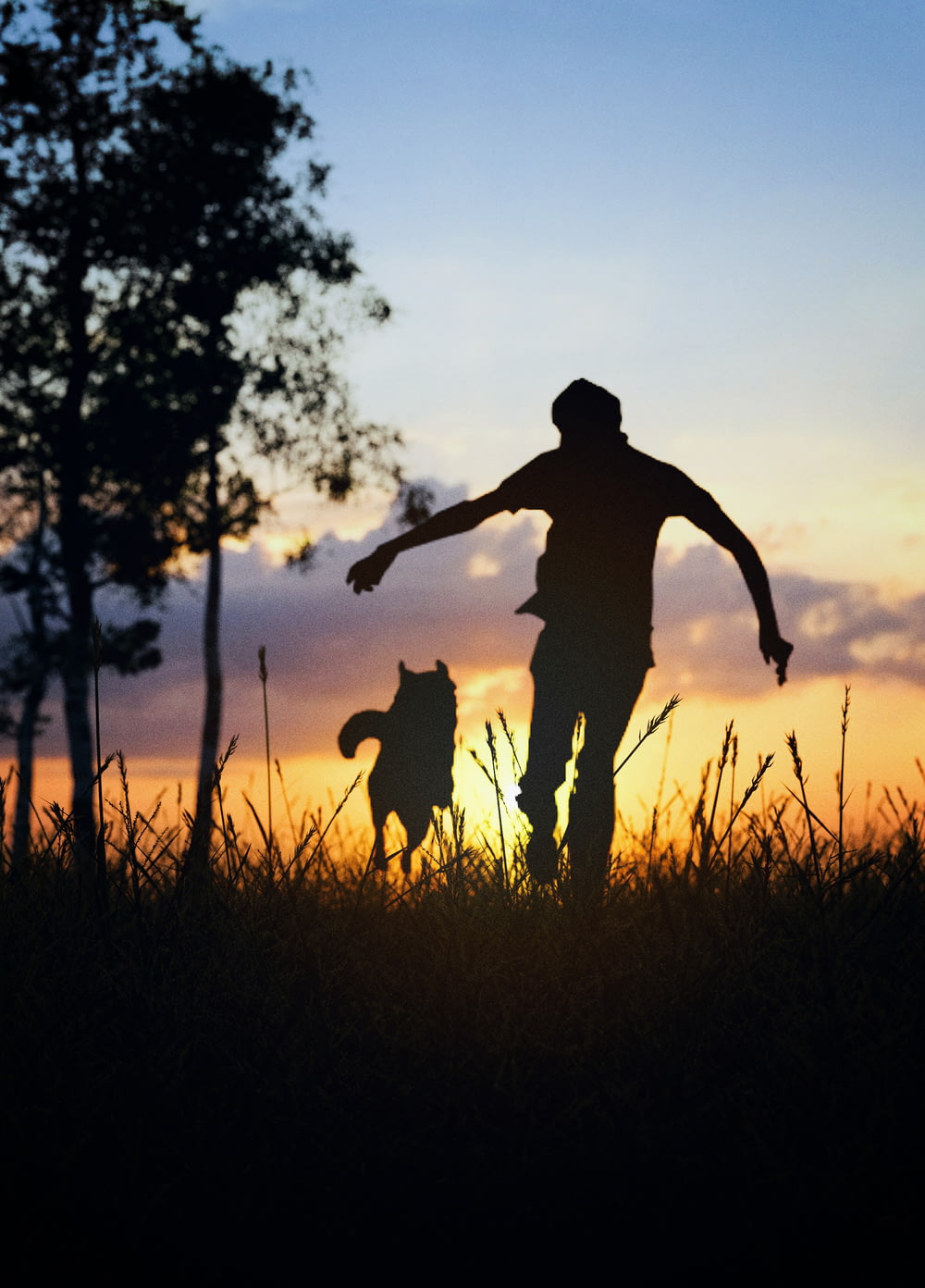 a man and his dog are silhouetted against a sunset