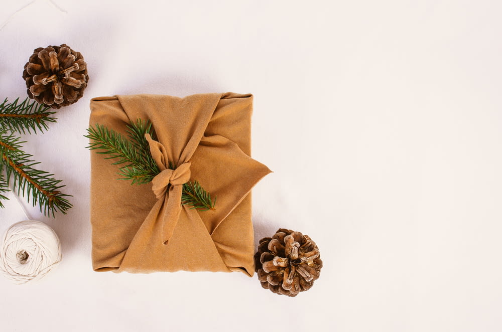 a present wrapped in brown paper with pine cones and twine of twine