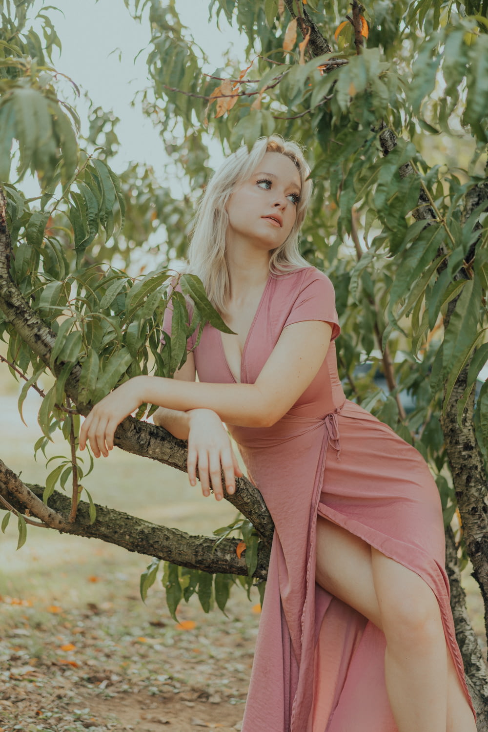 a woman in a pink dress sitting on a tree branch