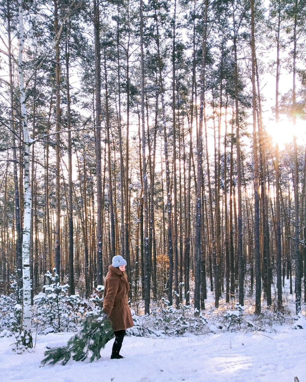 a person walking through the woods with a christmas tree