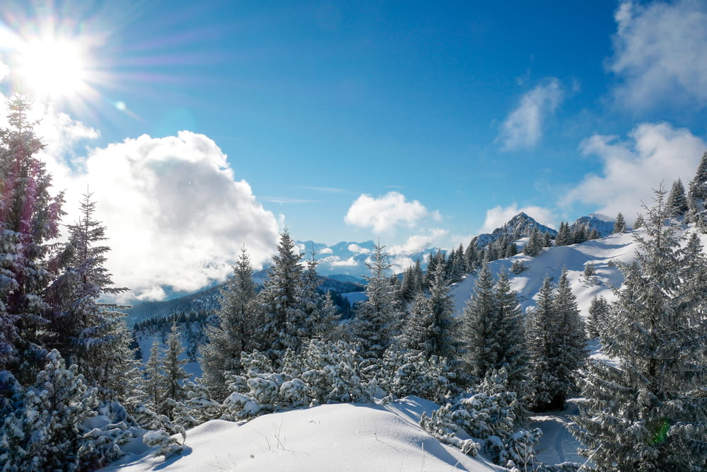 the sun shines brightly on a snowy mountain landscape