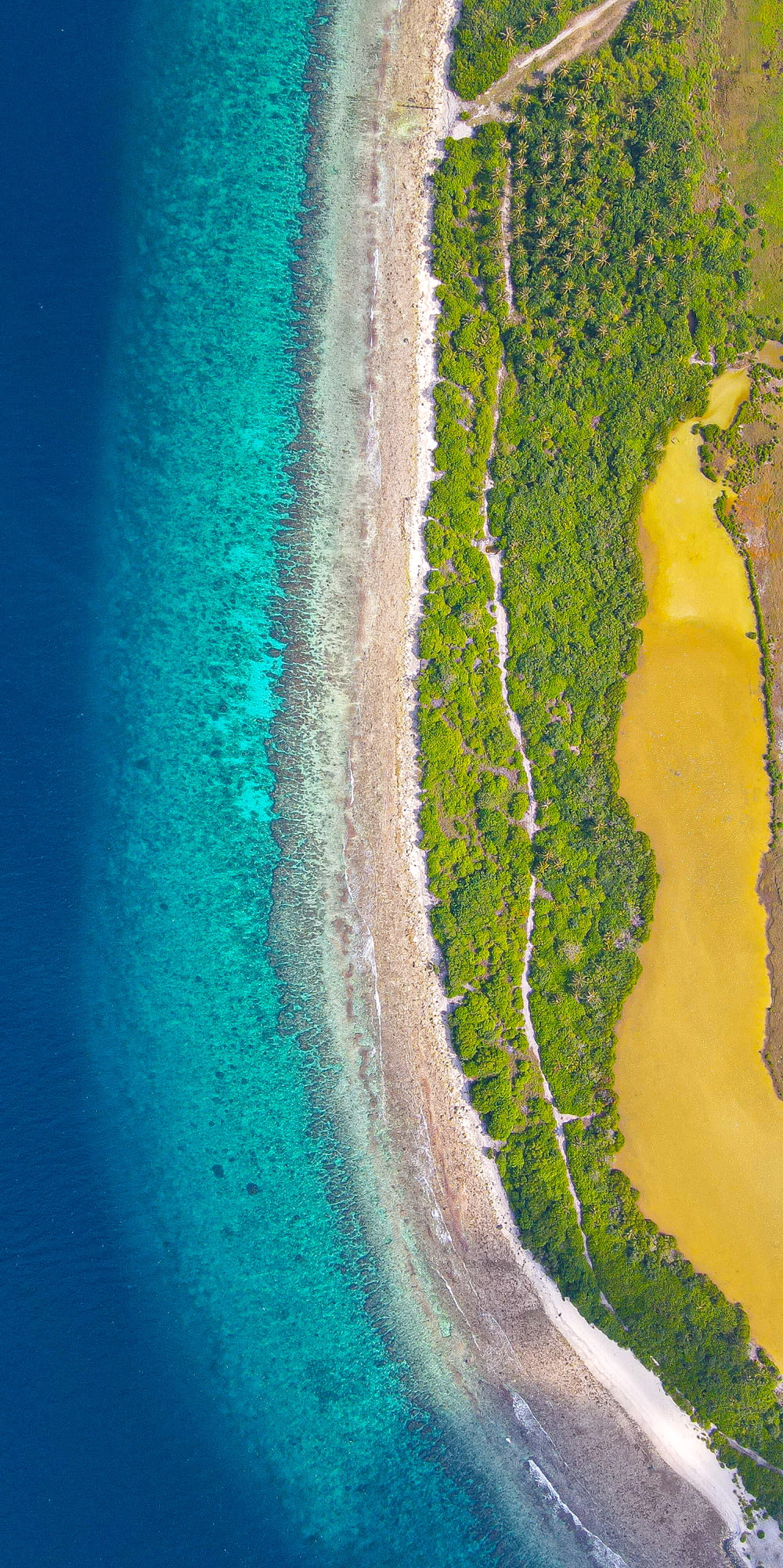 an aerial view of a beach and a body of water