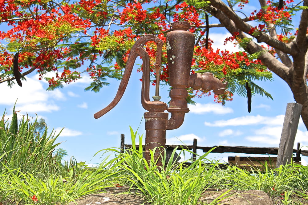 a rusted water faucet in front of a tree with red flowers