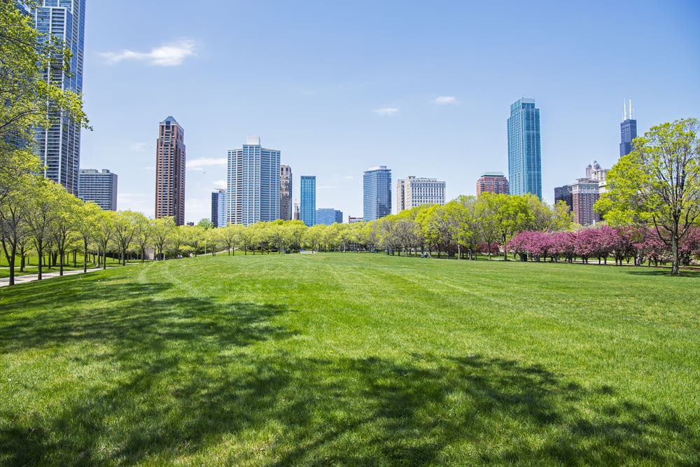 a grassy field with trees and buildings in the background