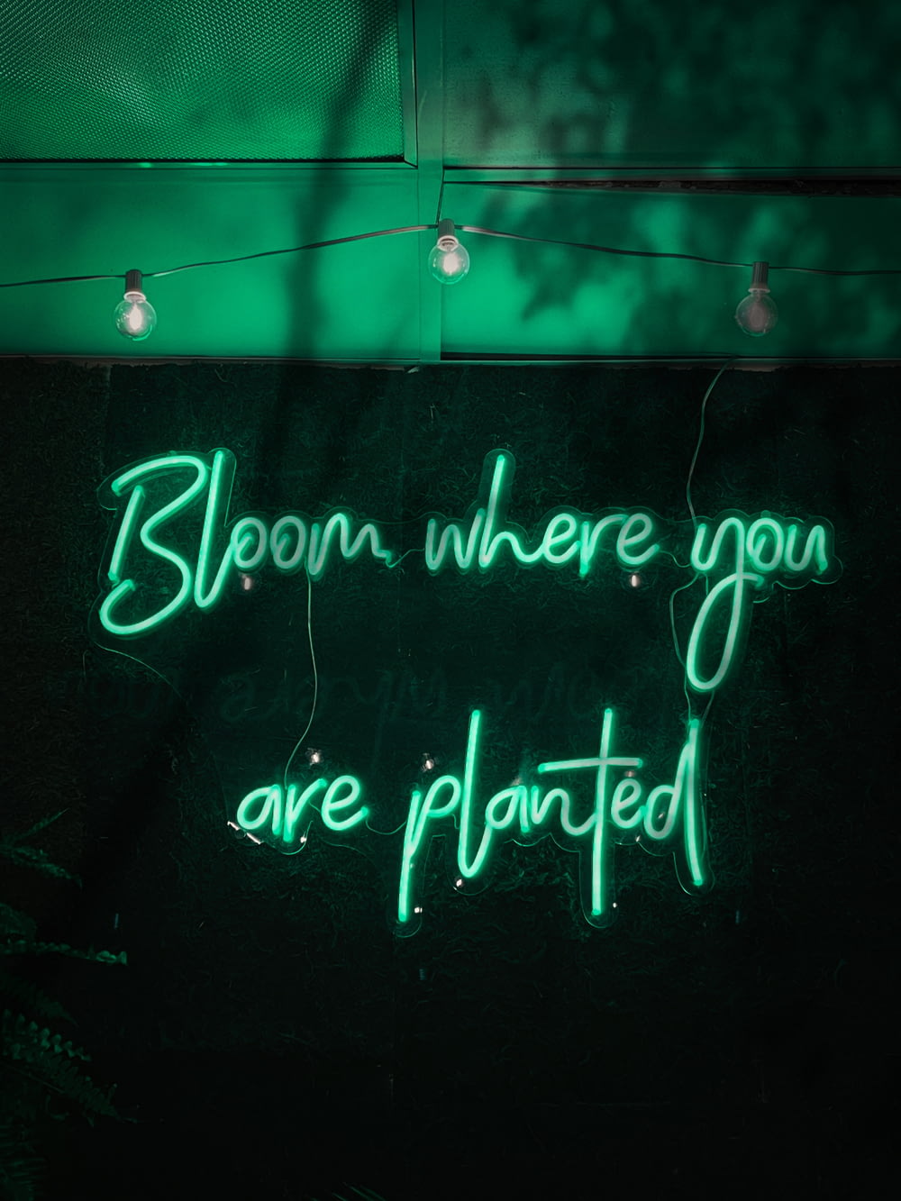 a neon sign that says bloom where you are planted