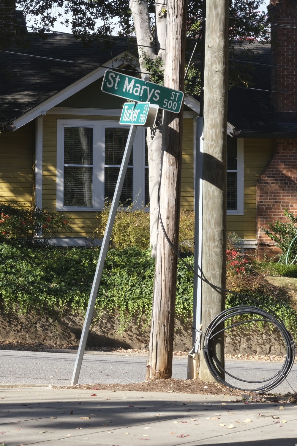 a street sign on a pole next to a tree