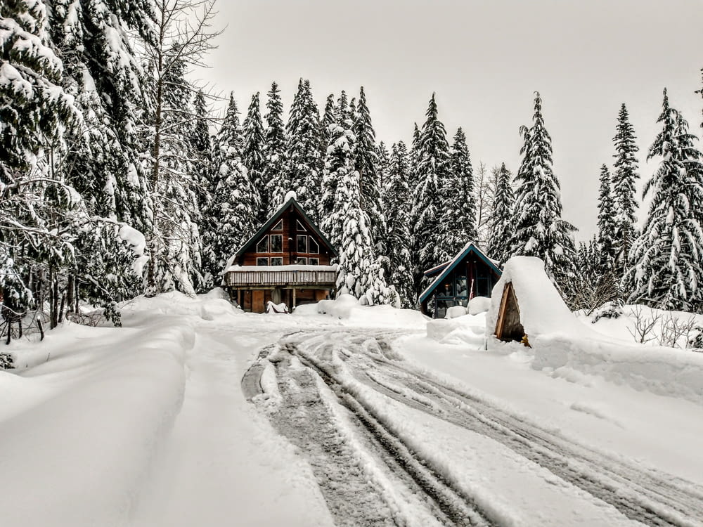 a snow covered road leading to a cabin in the woods