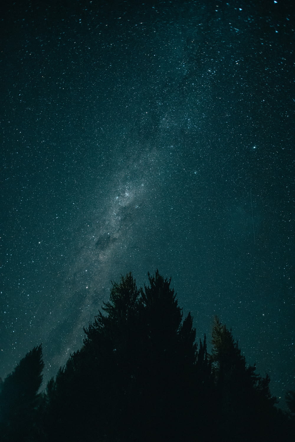 the night sky with a lot of stars and trees