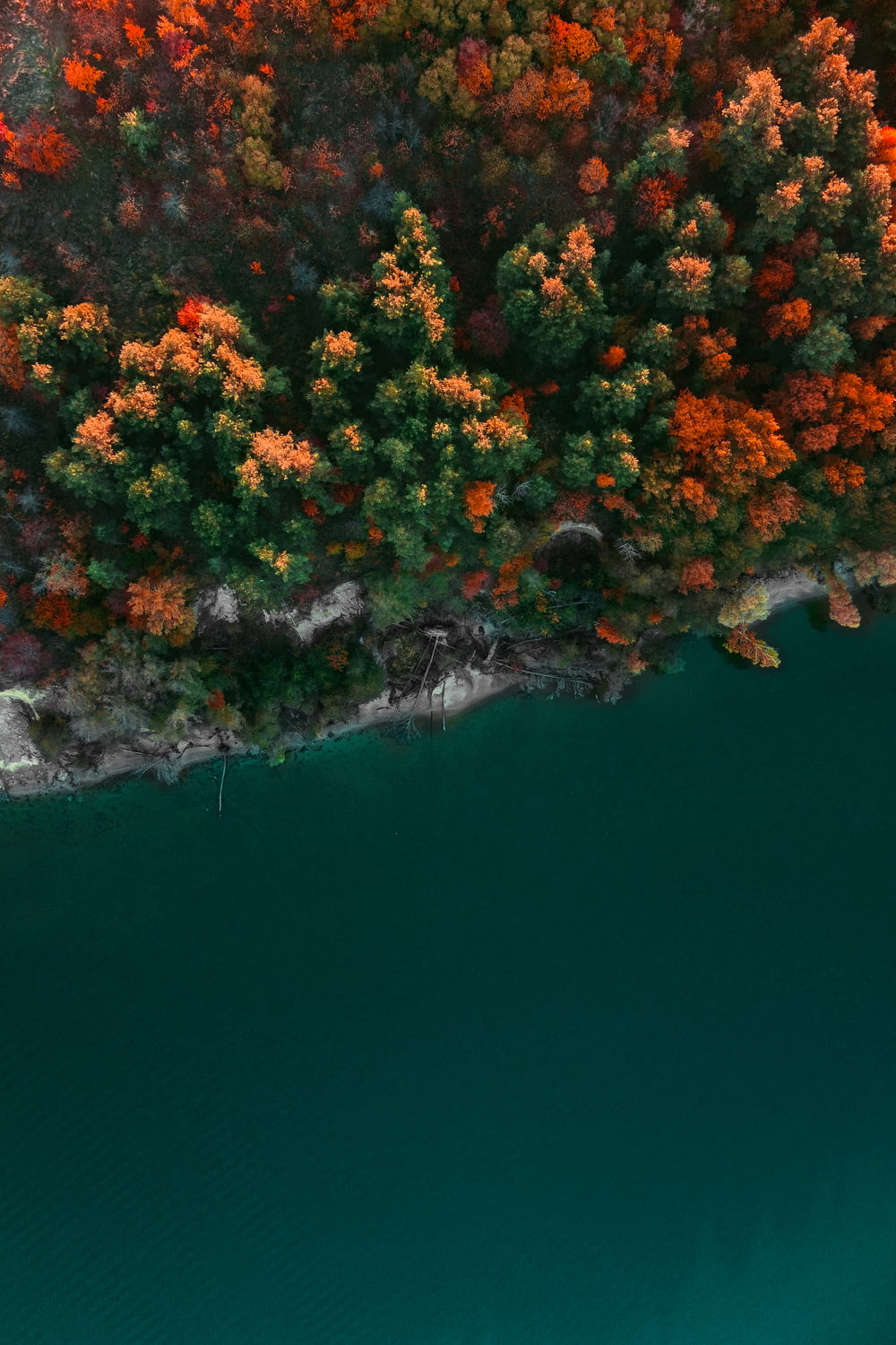 an aerial view of a body of water surrounded by trees