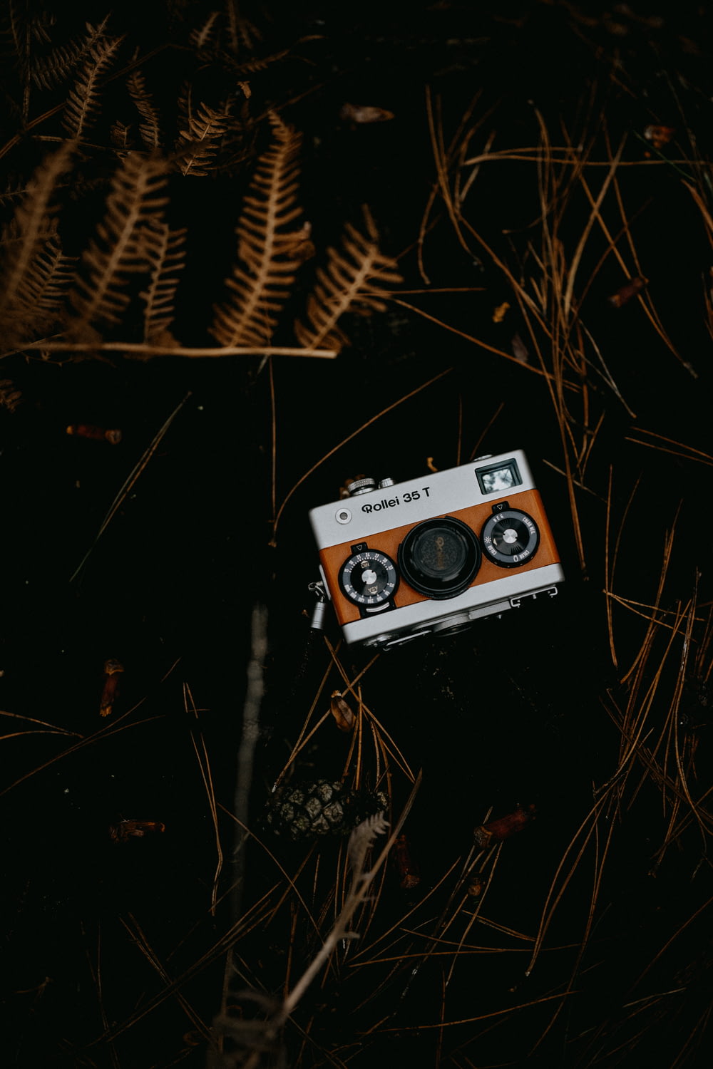 an orange and white camera sitting in the grass