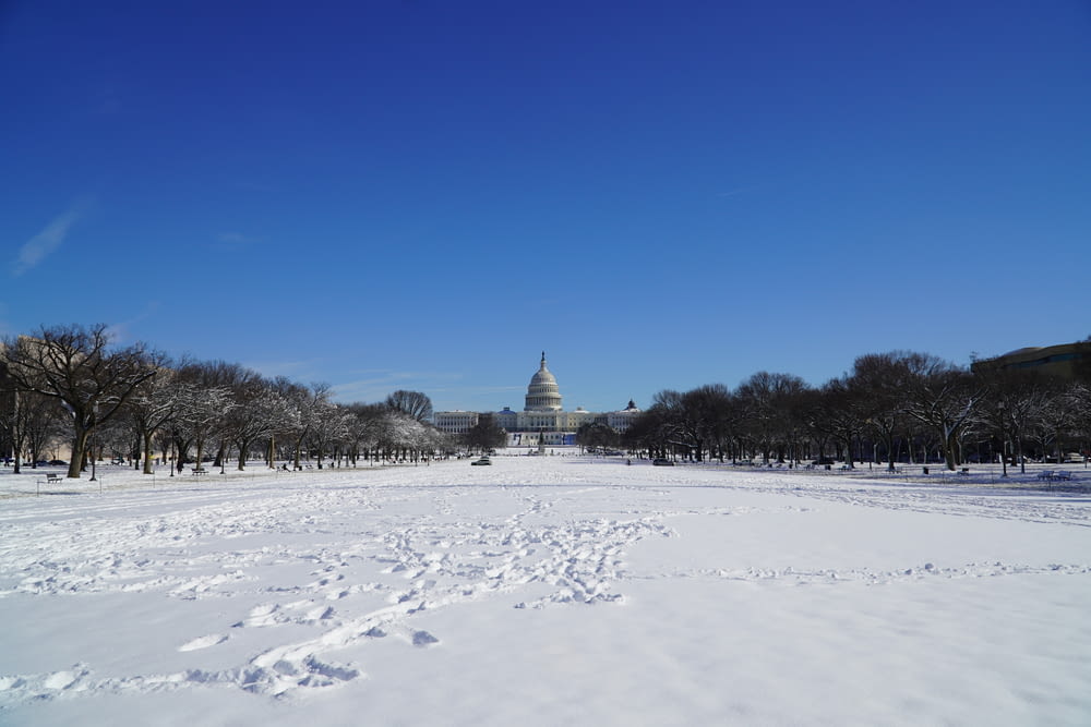 a view of the capital building from across a snowy field