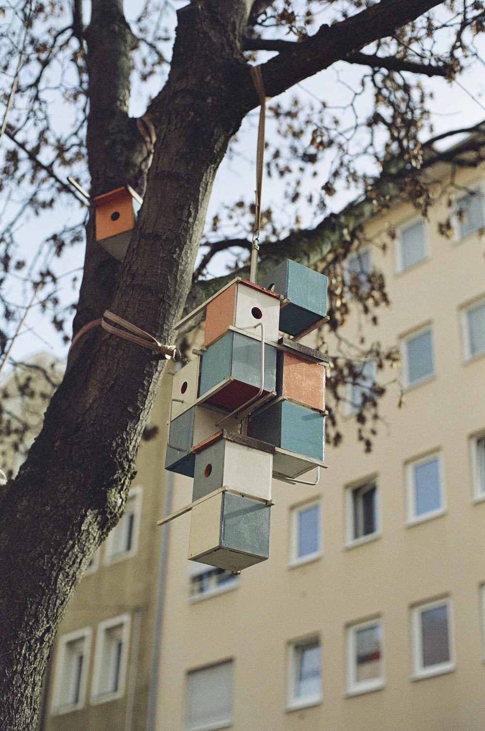 a bird house hanging from a tree in front of a building