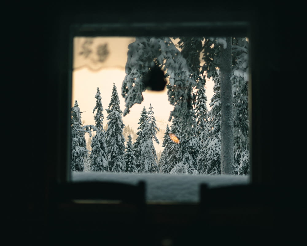a view of a snowy forest through a window