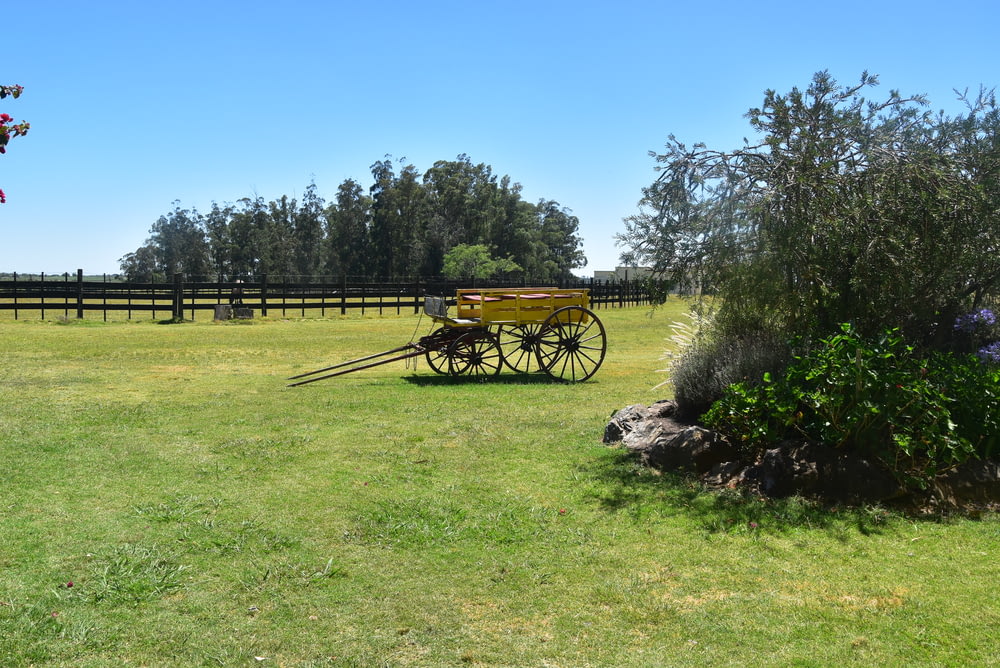 a horse drawn carriage sitting in the middle of a field